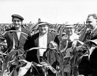 Expansion of crops of corn Khrushchev